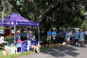 Purple canopy tents and information booths set up along a tree-lined path at an outdoor event.