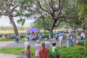 Outdoor event with purple tents and vendors set up under large oak trees.