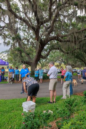 People gather under Spanish moss-draped trees at an outdoor community event with blue tents and displays.