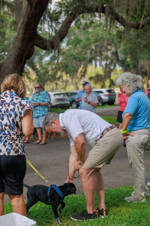 Group of dogs and their handlers participating in outdoor training activities under shaded trees.