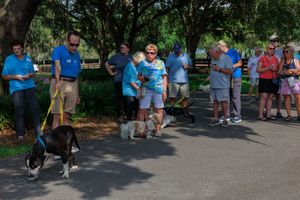 Large crowd gathered at outdoor community event with people walking along shaded path.