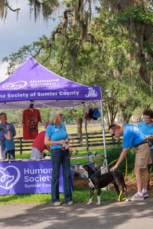 Humane Society event booth setup with purple tent and volunteers helping visitors at an outdoor venue.