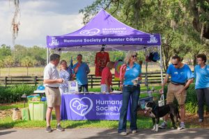 Purple Humane Society tent and information booths set up at outdoor event.