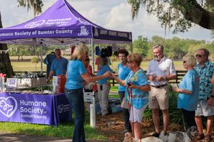 Humane Society event setup with purple tents and banners outdoors.