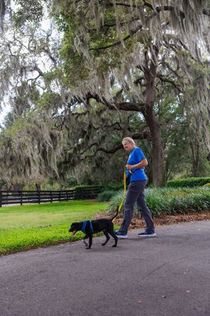 Black dog walking with companion on a tree-lined path covered in Spanish moss.