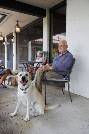 A large white and brown dog rests on a covered porch with people sitting in outdoor chairs.
