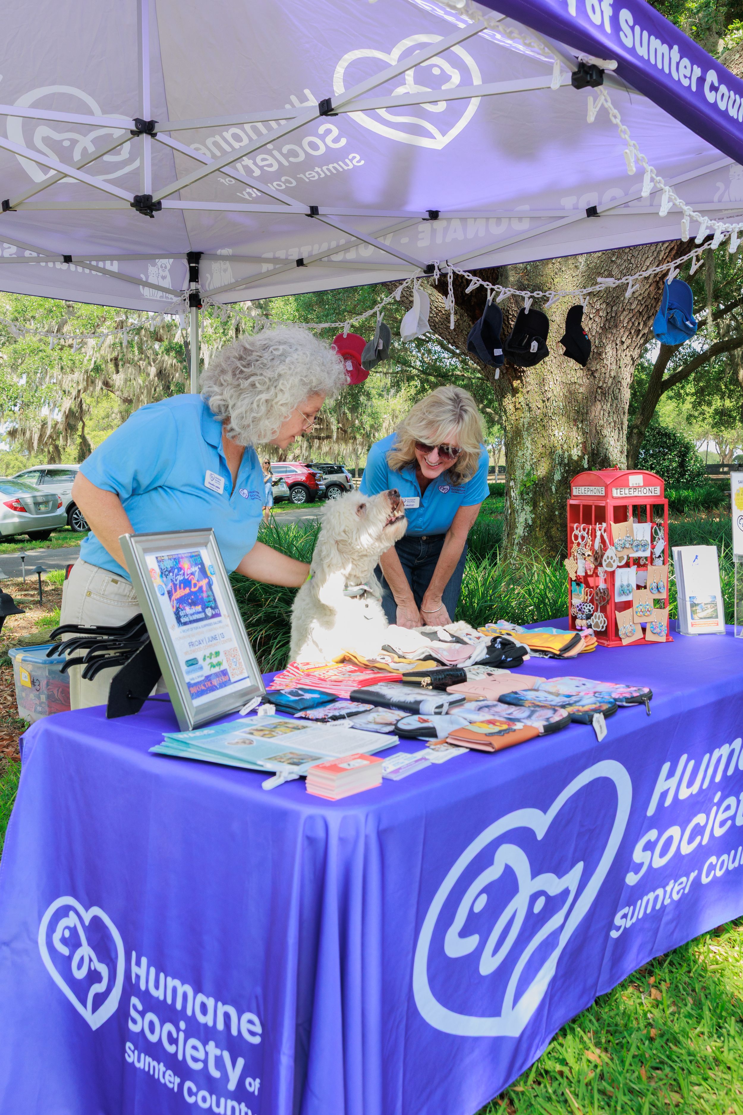 Humane Society volunteers staff an information booth with purple tablecloth and promotional materials at an outdoor event.