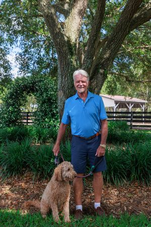 A brown standard poodle dog stands with someone in a blue shirt near flowering shrubs and oak trees.