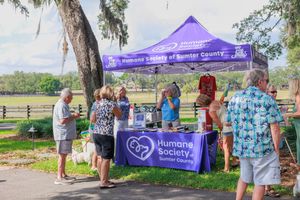 People gather around a purple tent at an outdoor event promoting animal welfare and adoption services.