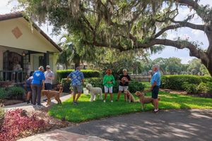 A group of volunteers works together to maintain landscaping and gardens at a community property.