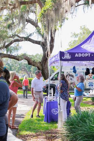 Purple adoption tent set up under moss-covered trees at outdoor event.