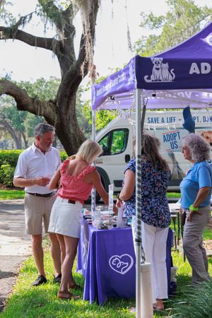 People gather at outdoor information booths with purple canopies at a community event.