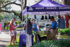People gather at an outdoor adoption event under a purple tent with volunteers and pets on a sunny day.