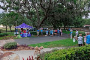 Wide view of outdoor event space with purple tents and Spanish moss draped trees.