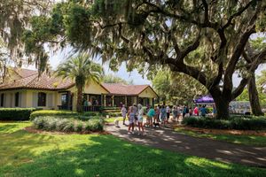 Tree-lined pathway with Spanish moss draping over oak trees creates a shaded walkway through a scenic garden setting.