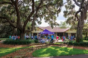 A panoramic view of a shaded outdoor gathering area with Spanish moss draped trees and colorful canopy tents.