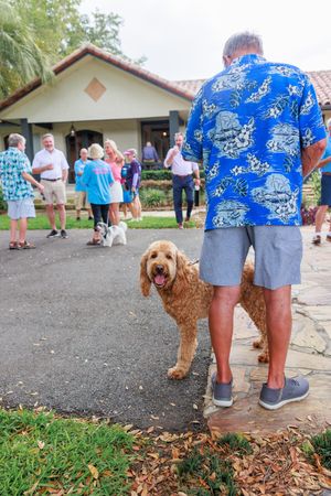 Golden doodle dog walking with attendees at an outdoor community event.