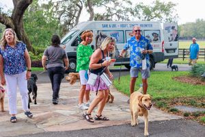 Dogs and attendees walking along tree-lined path at outdoor adoption event.