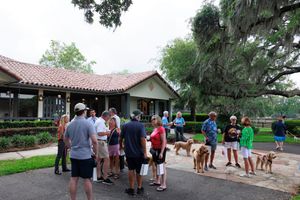Outdoor event space with Spanish moss trees and people gathering near buildings.