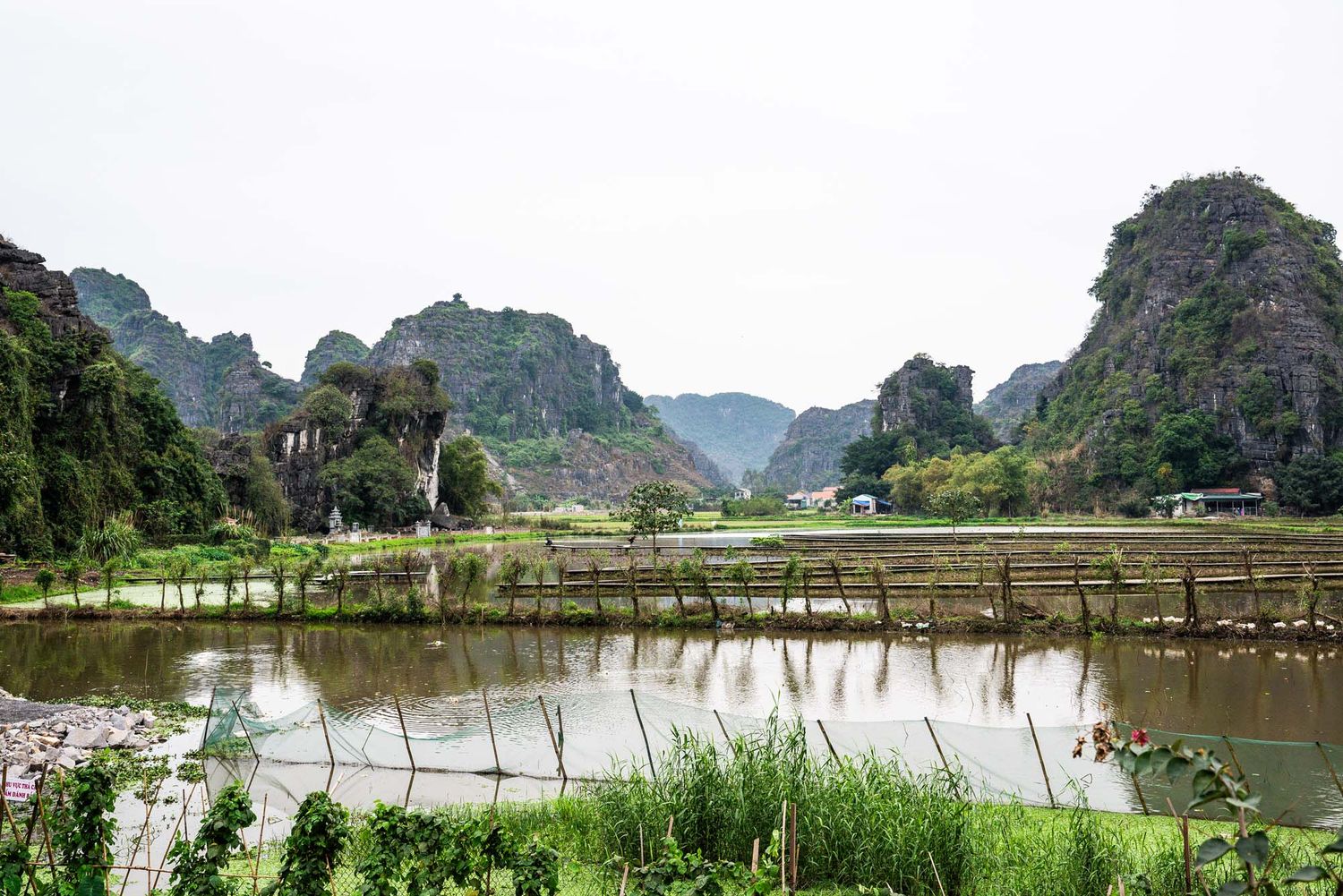 Panoramic view of limestone karst mountains and rice paddies reflecting in still water at Tam Coc, Vietnam.