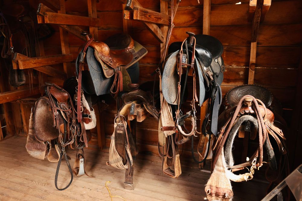 Collection of horse saddles and riding equipment arranged in a rustic barn setting.