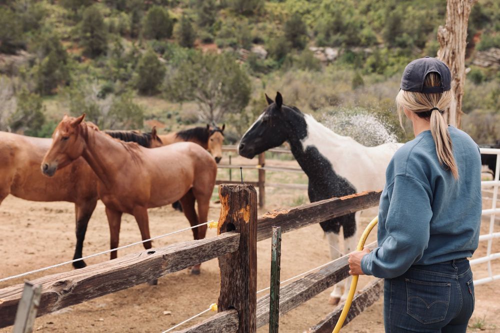 Horses grazing near wooden fences in a mountainous desert setting.