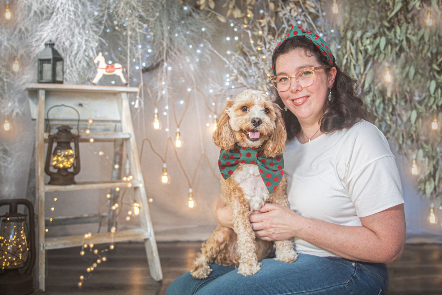 Dog poses for holiday portrait with twinkling lights and Christmas decorations in background.