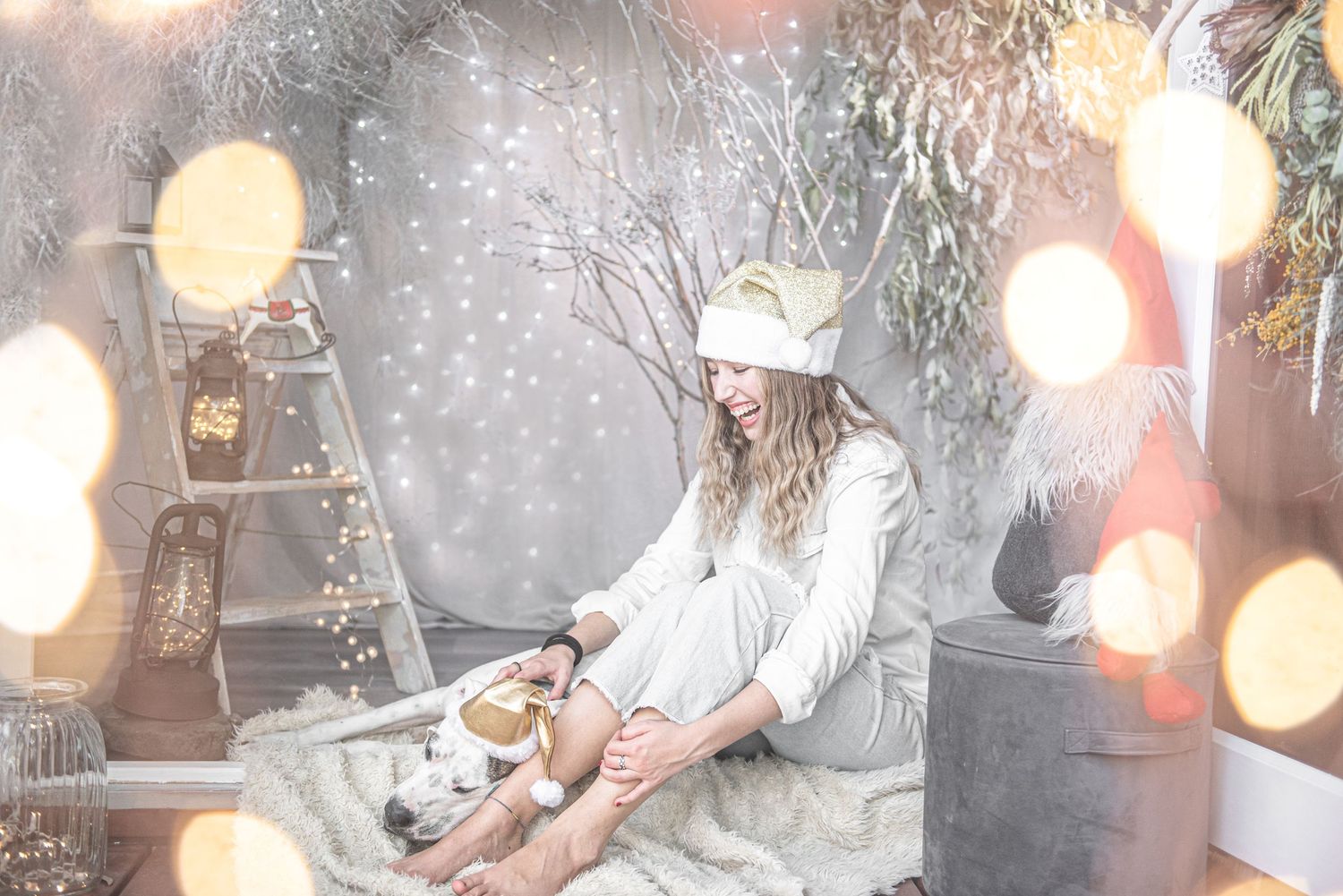 Holiday pet portrait session setup with twinkling lights and snowy decorations.