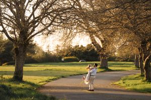 A tree-lined pathway at sunset creates a golden silhouette against the warm evening sky.