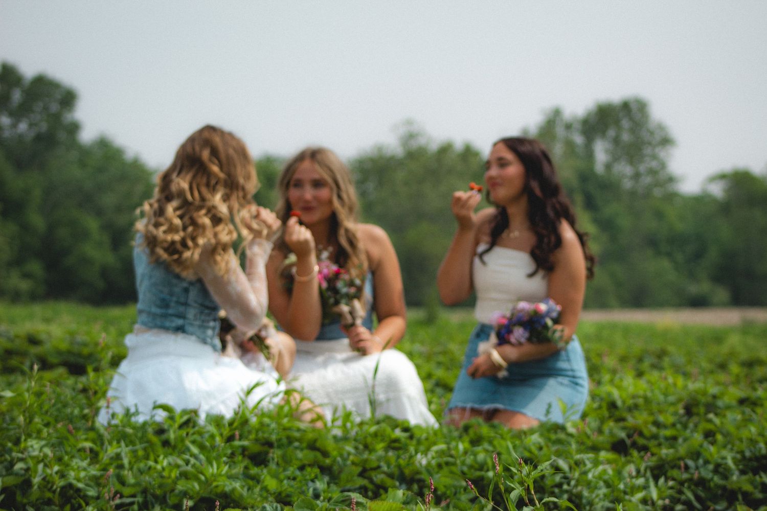three sisters eating strawberries in a field