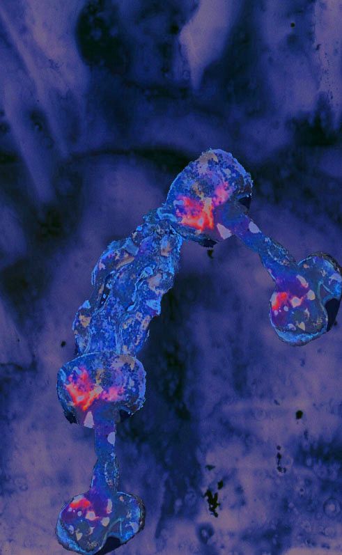 Abstract blue and pink crystalline formations against dark purple background.