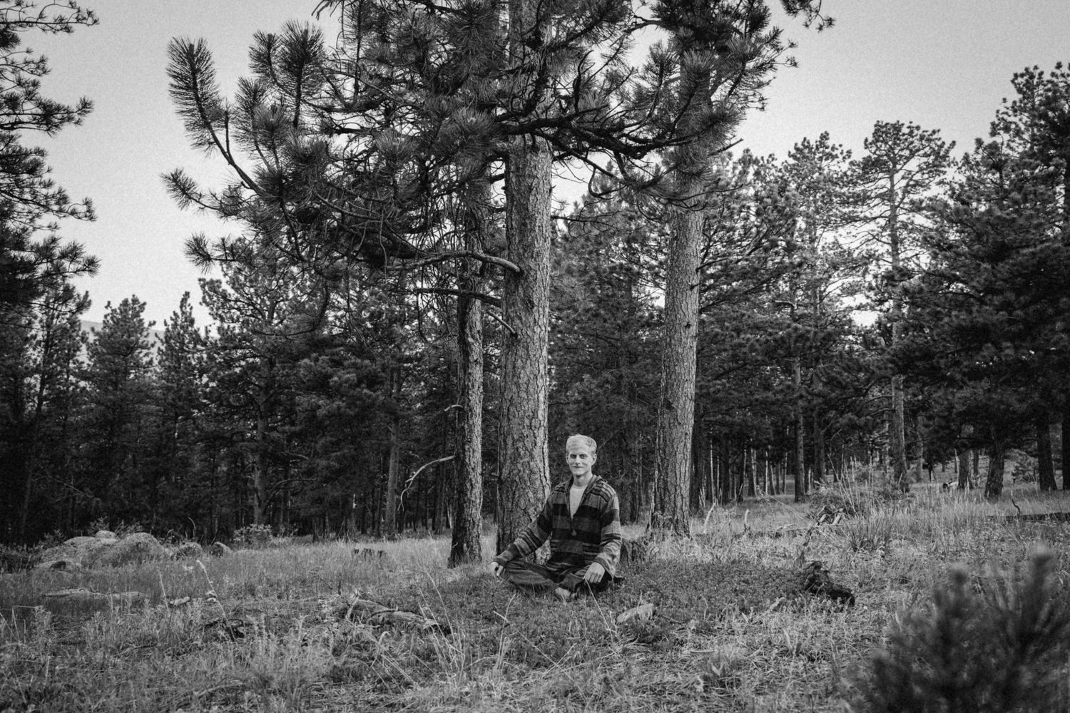 Black and white photograph of someone sitting alone in a forest clearing surrounded by tall pine trees.