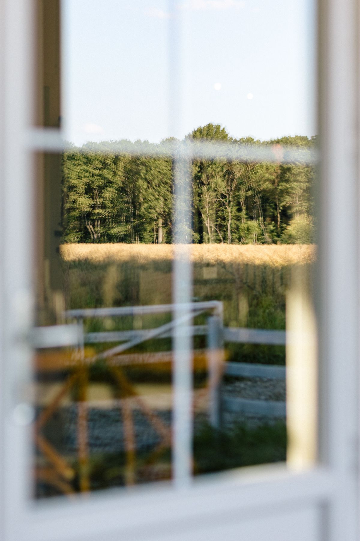 Scenic view through windows showing trees and landscape in soft focus.