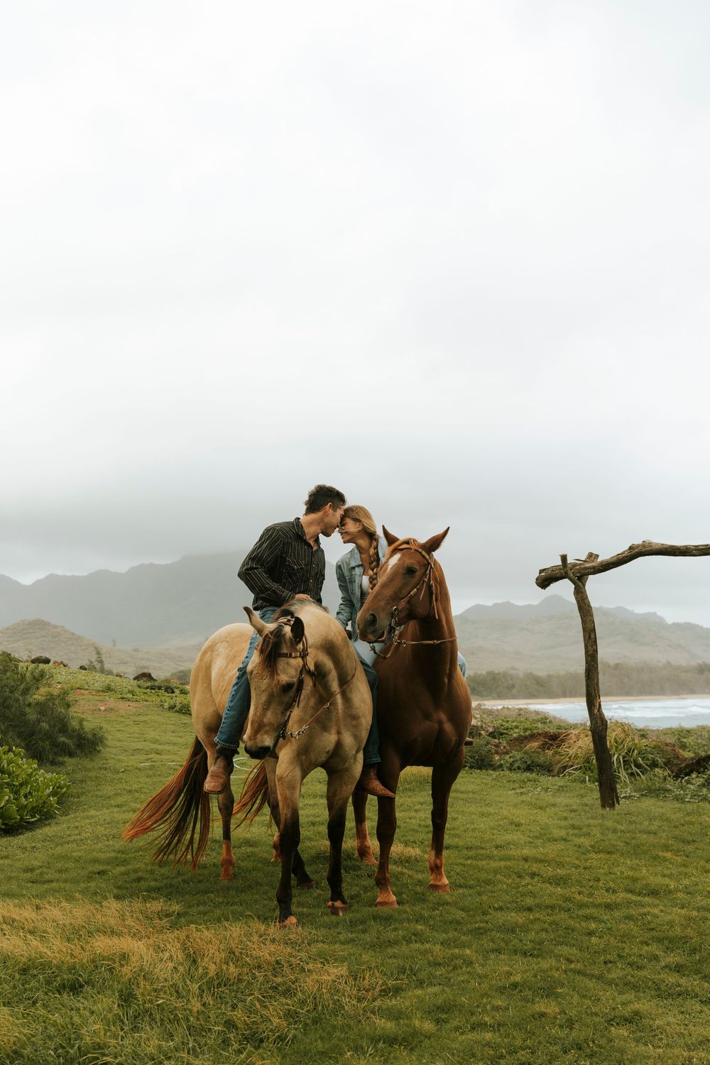 Two horses and their riders rest on a misty green coastal hillside overlooking the ocean in Hawaii.
