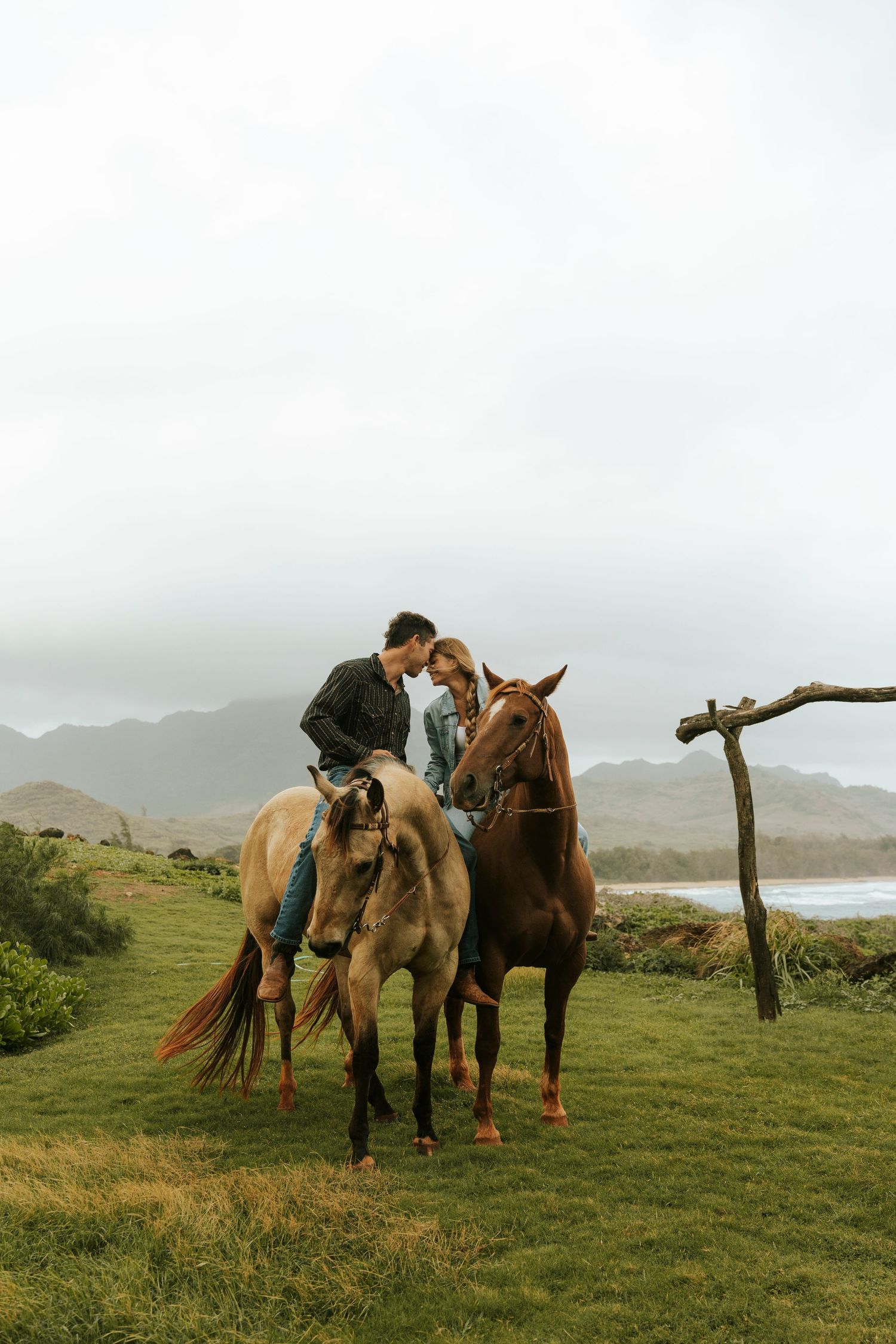 Two horses and their riders rest on a misty green coastal hillside overlooking the ocean in Hawaii.