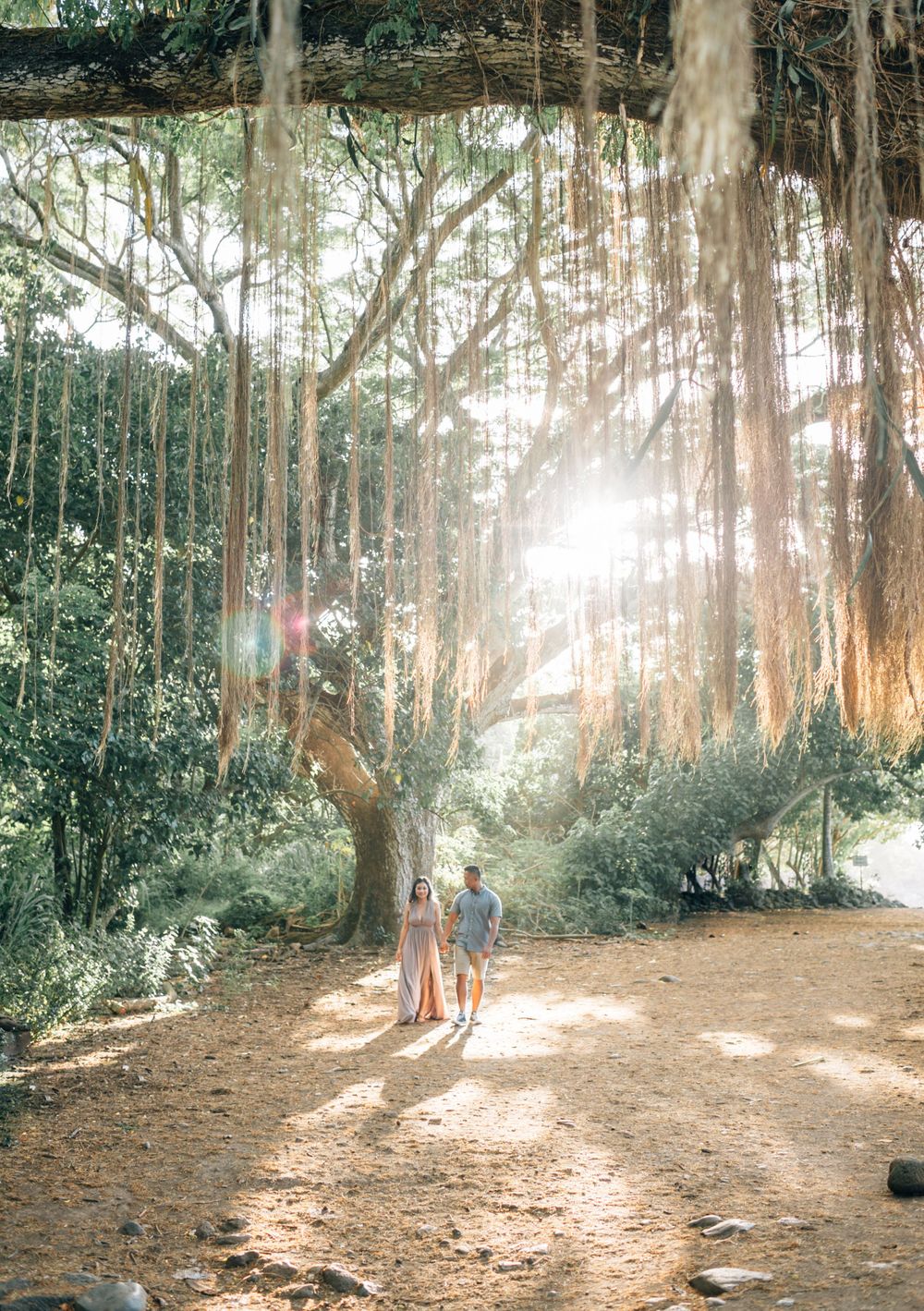 A couple stands together in a sunlit eucalyptus forest path.