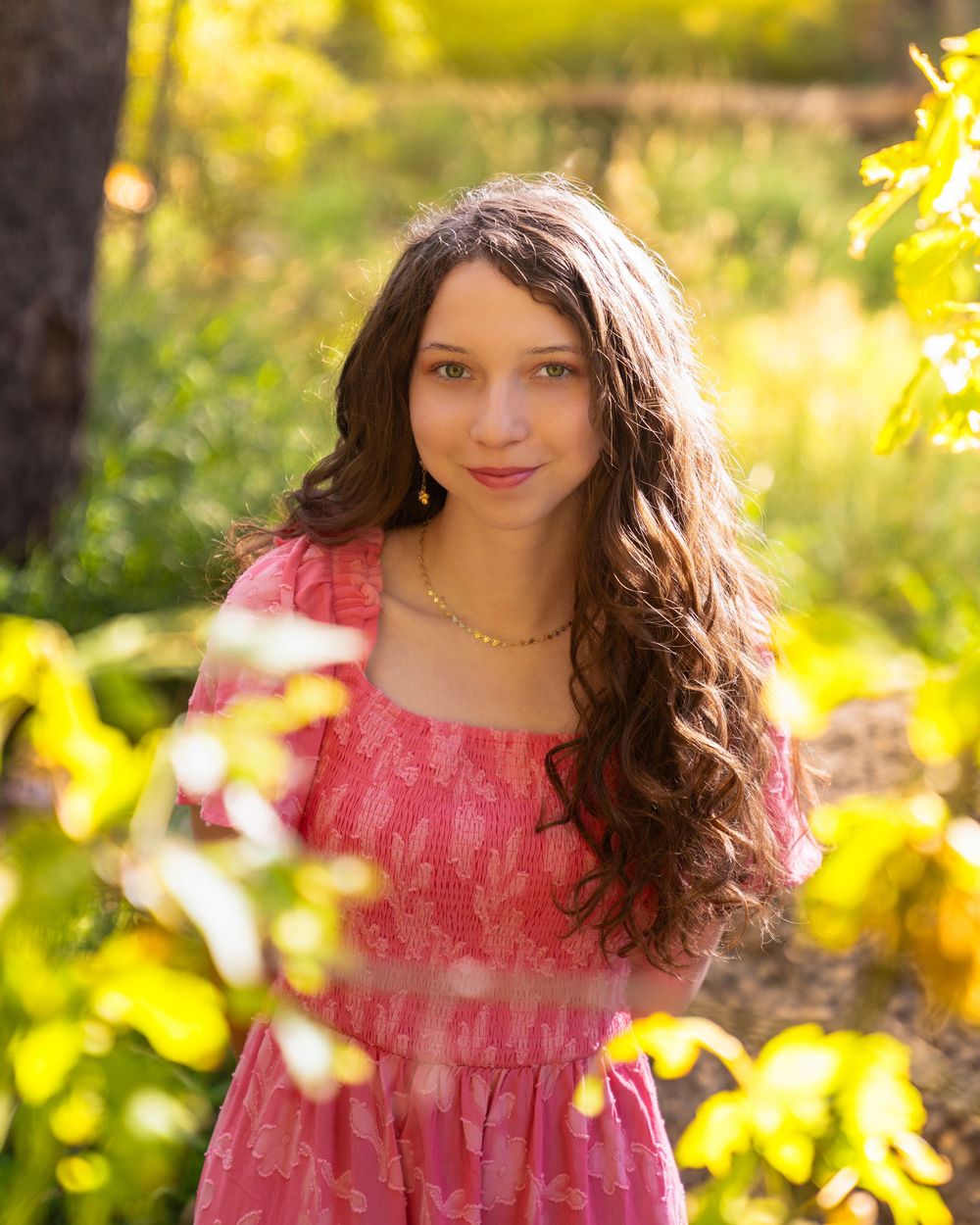 A pink dress captured in soft natural lighting amidst lush summer foliage.