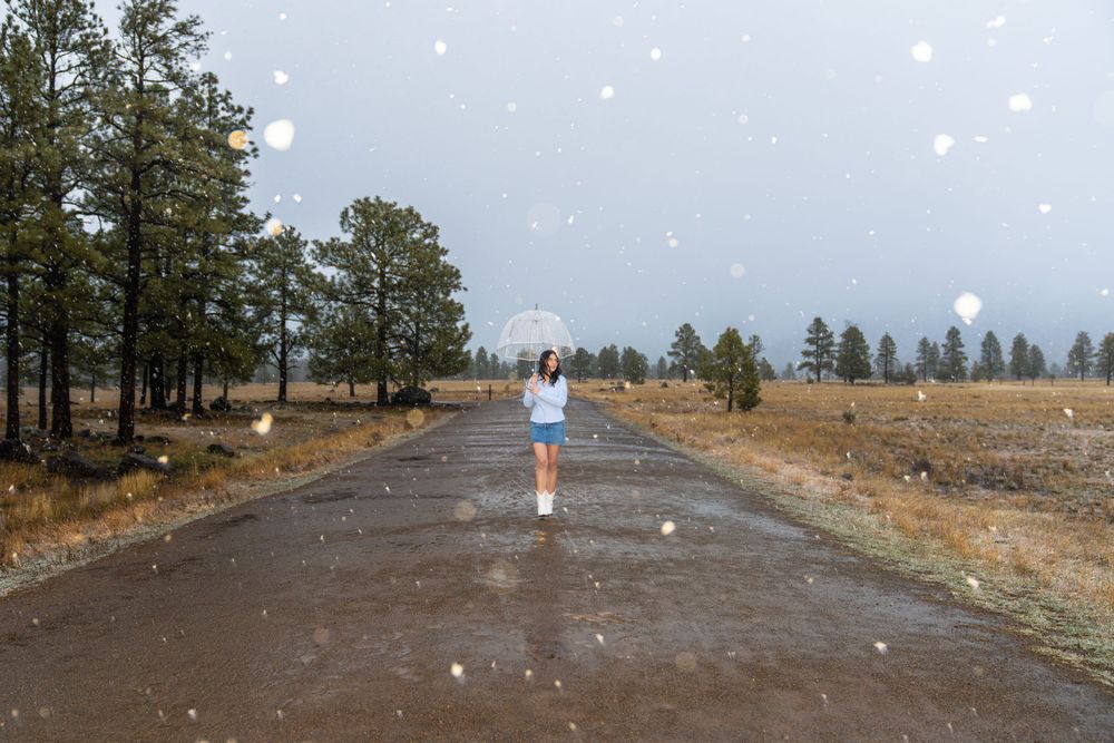 A snowy path leads through a pine forest on a winter day.