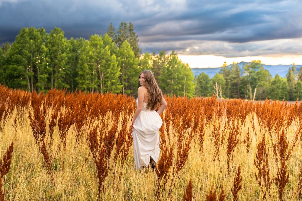 Dramatic stormy sky over tall grass fields with mountains in the background.