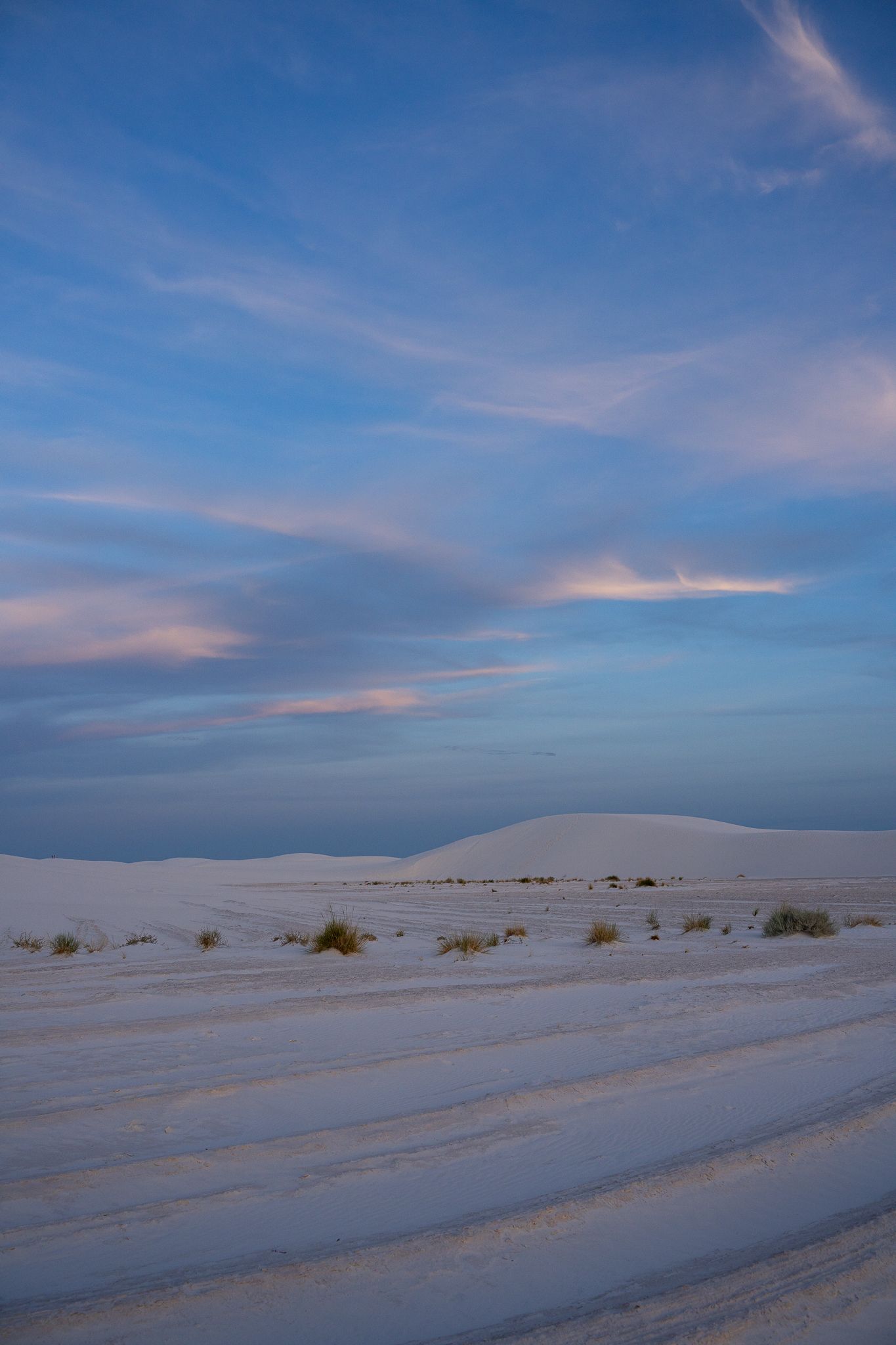White sand dunes stretch across a desert landscape under a soft blue sky at dusk.