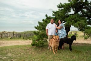 A series of photos showing people and dogs walking together on a grassy hill with trees in the background.