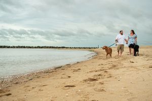 A panoramic sequence of a couple walking with their dogs along a sandy beach shoreline.