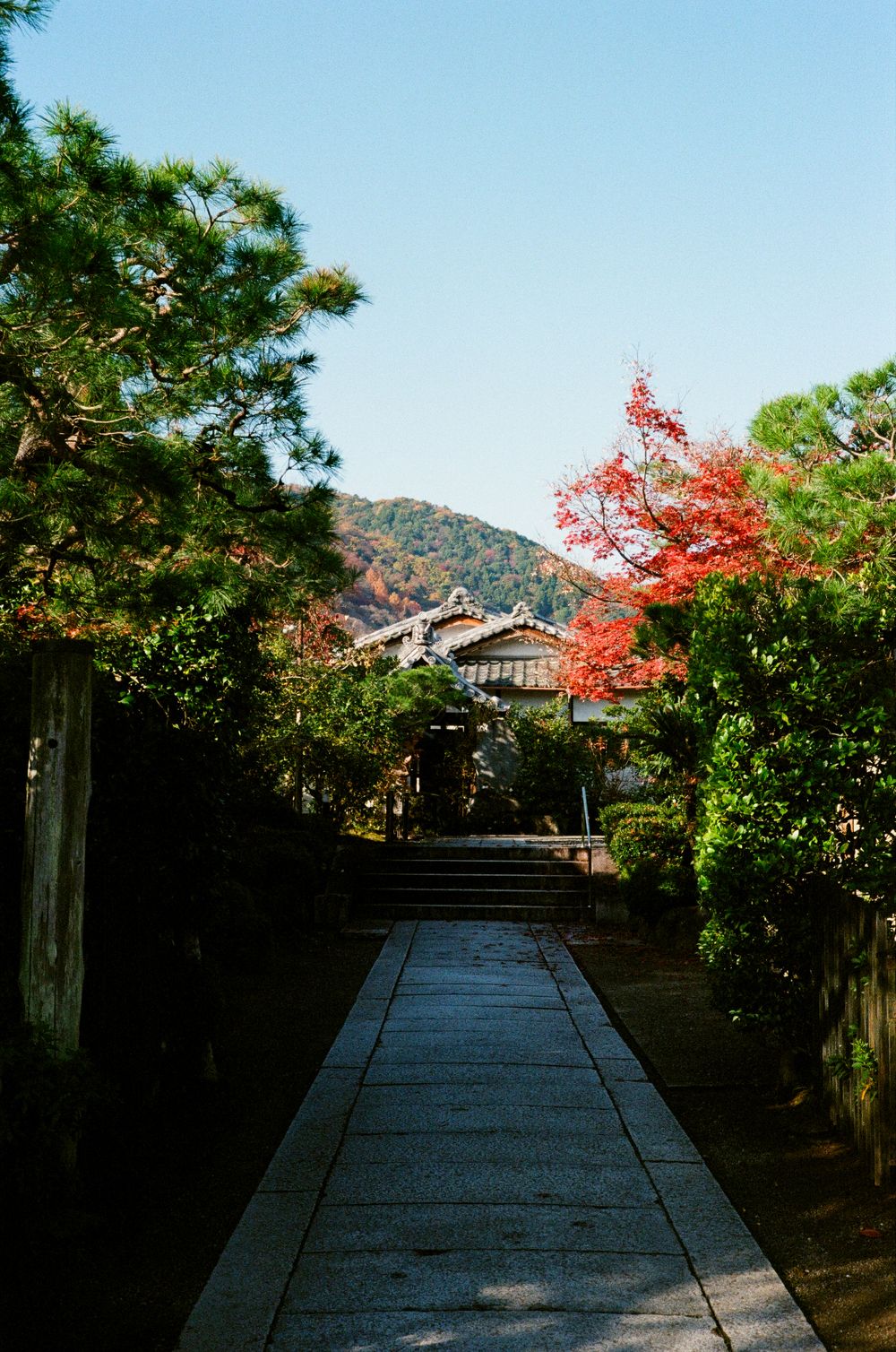 A wooden walkway leads through a Japanese garden with autumn maple trees and mountain views in the background.