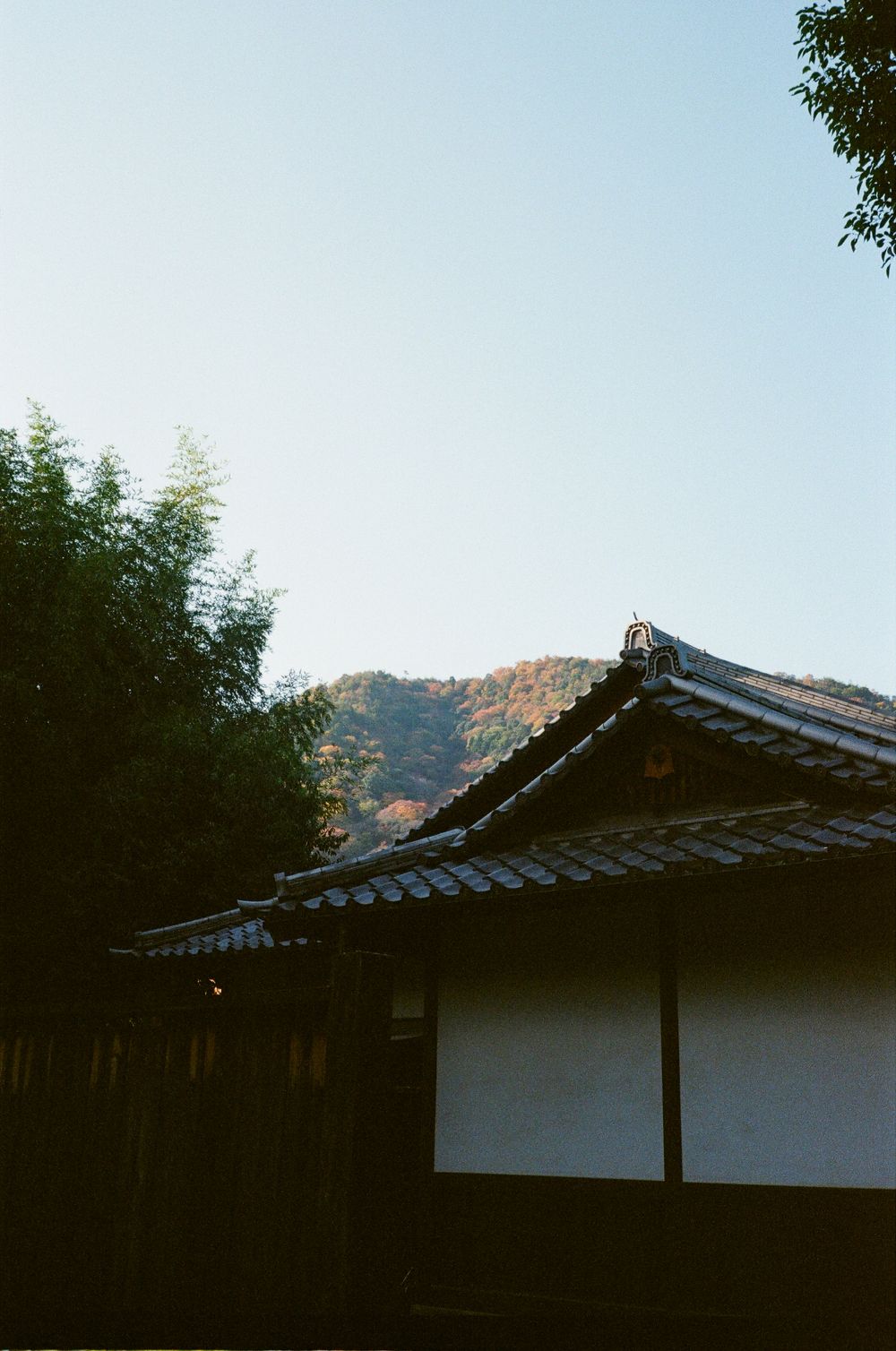 Traditional Japanese architecture with tiled roofs against a mountain backdrop in soft evening light.