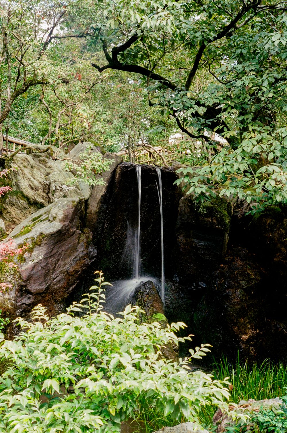 Small waterfall cascades down dark rocky cliffs surrounded by lush green foliage in a natural grotto setting.