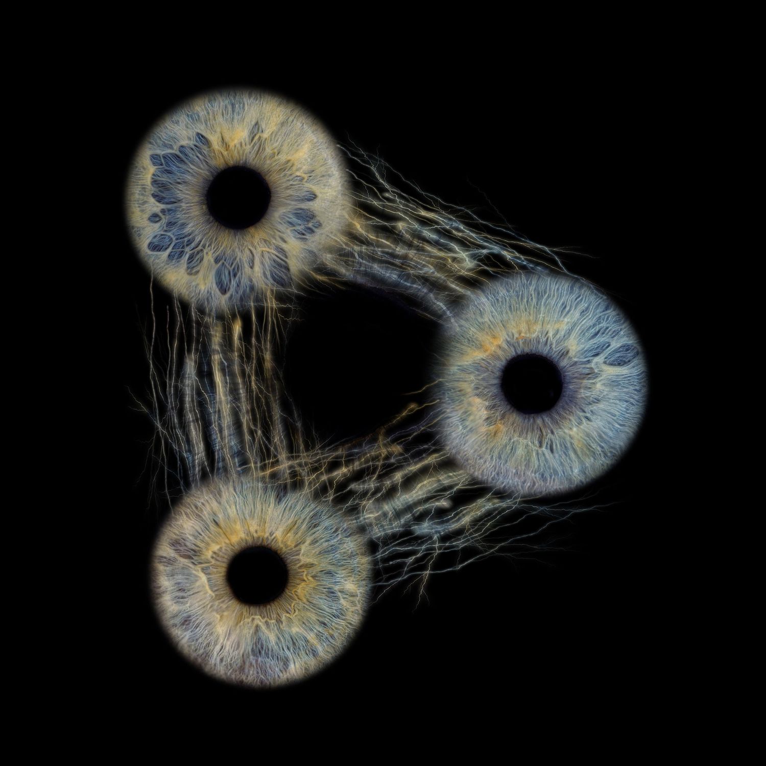 Three blue iris patterns connected by wispy lines forming a triangle on black background.