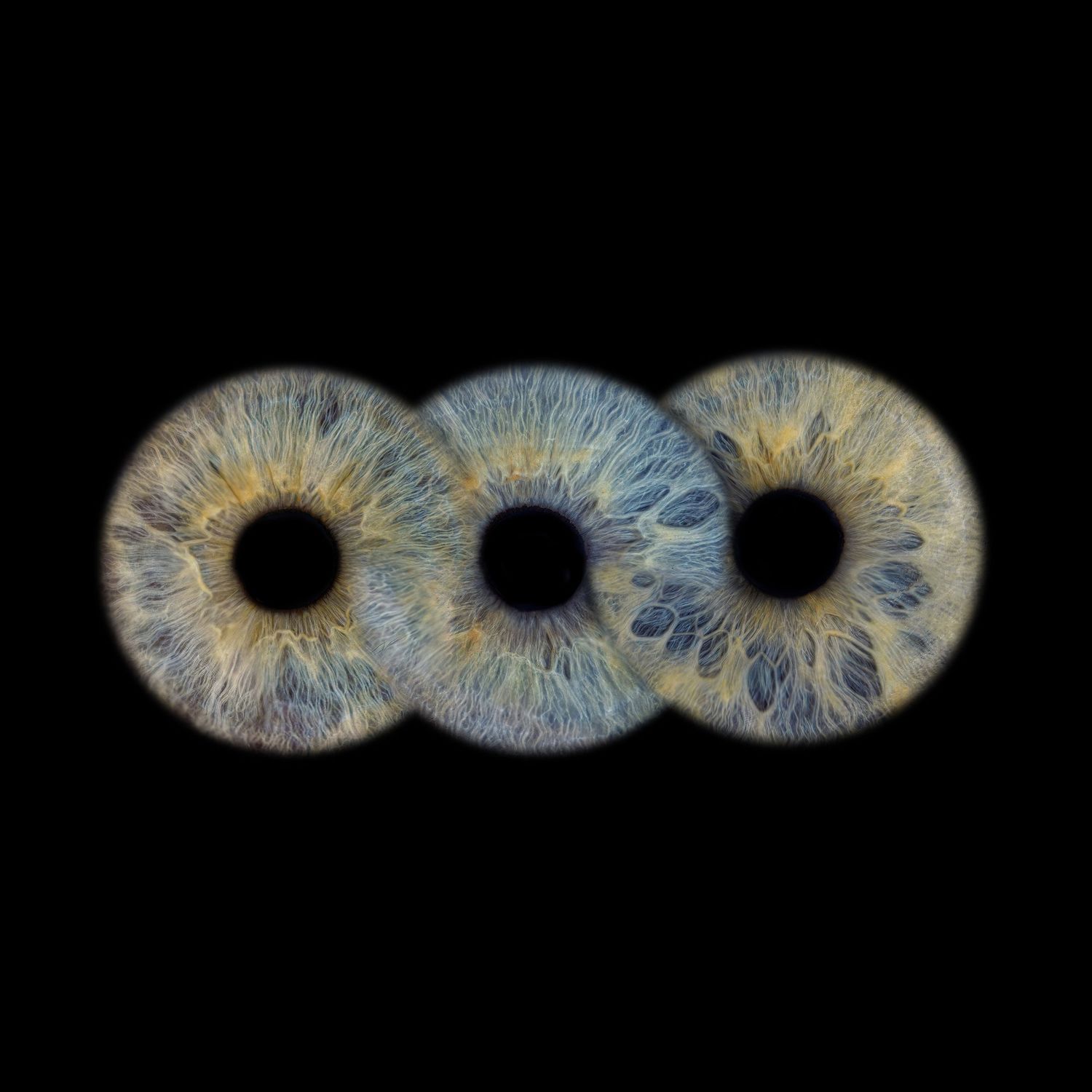 Microscopic close-up view of human iris texture patterns in shades of blue and brown showing detailed structural features.
