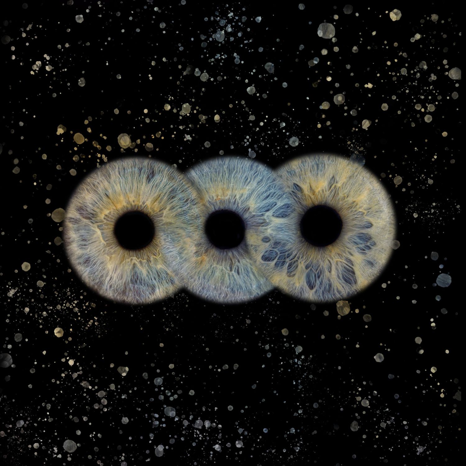 Three identical blue irises aligned horizontally against a dark starry background create an ethereal cosmic effect.