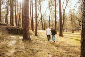 Two people walking together on a sunlit forest path among tall pine trees on an autumn afternoon.
