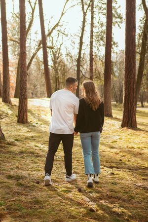 Two people strolling together among tall pine trees in warm afternoon sunlight.